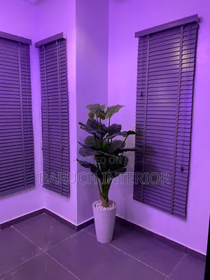 Modern Day Wooden Blinds