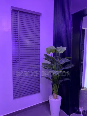 Modern Window Blinds