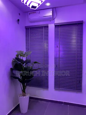 Modern Window Blinds