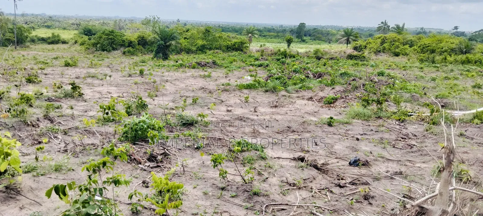 Farmdistrict and Resorts Ogun State
