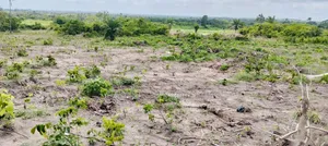 Farmdistrict and Resorts Ogun State