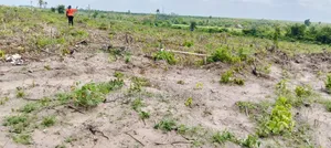 Farmdistrict and Resorts Ogun State