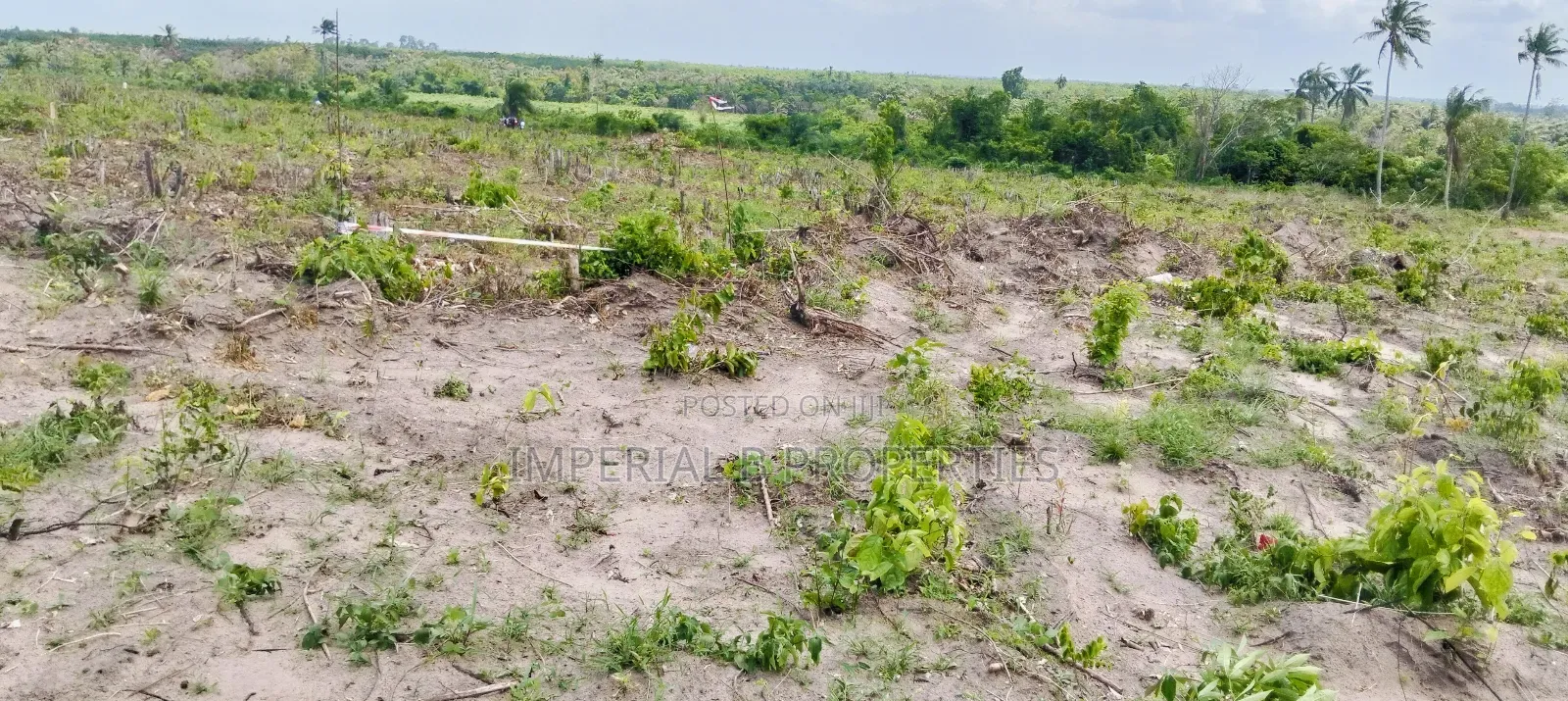 Farmdistrict and Resorts Ogun State