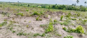 Farmdistrict and Resorts Ogun State