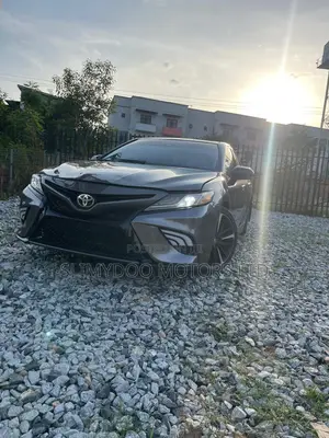 Toyota Camry XSE V6 (3.5L V6 8A) 2019 Gray