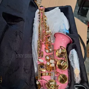 Photo - Original Alto Saxophone 