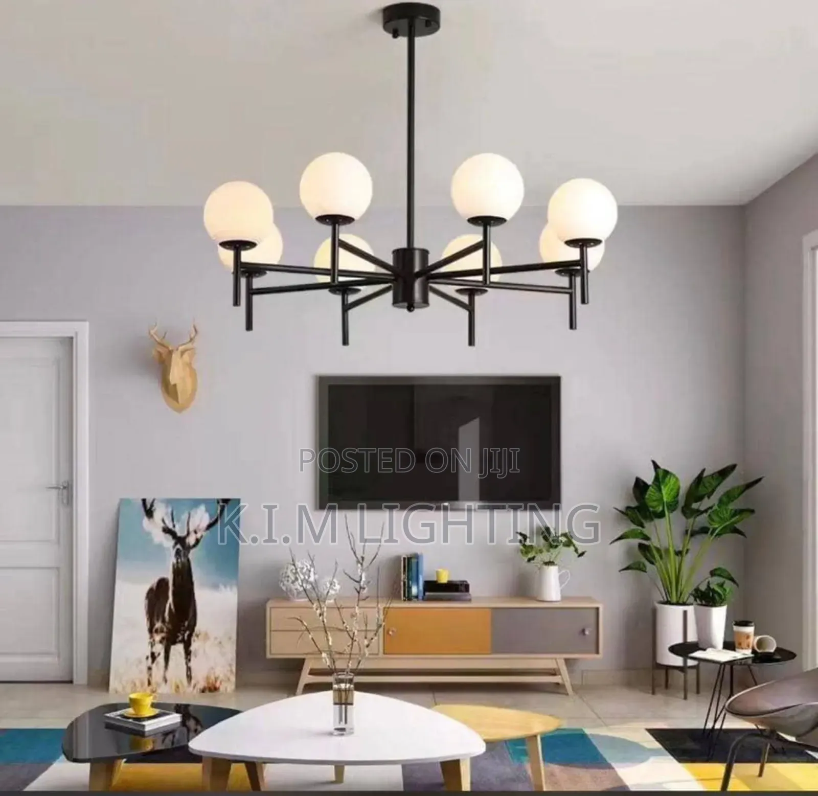 Exclusive Ceiling Lights
