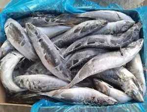 Fish Frozen