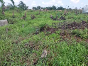 600sqm Plot Mixed Use 4 Sale Surulere Axis