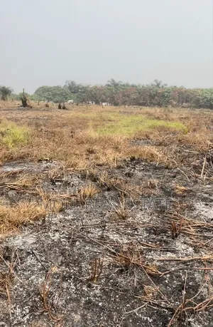 1200sqm Imason Community Ibeju Leki Lagos