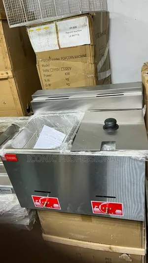 Photo - 2 Tank With Basket 10l Deep Fryer (Gas)