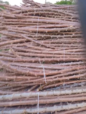 Photo - Game Changer Cassava Stems