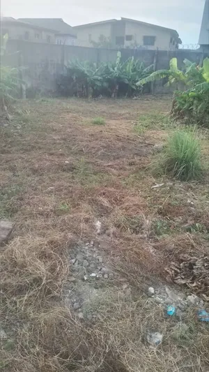 Plot of Land at Agbegise Town Baale Bus Stop Ifo Ogun State Nigeria