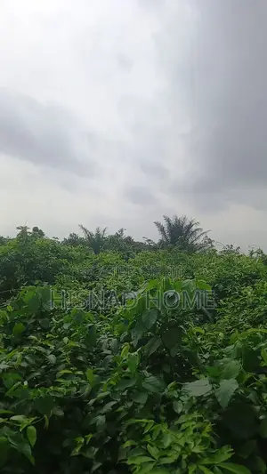 Photo - Last 4 Plots! Land With 24/7 Light, Beside Owu Tech, Wasimi