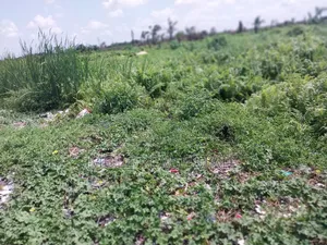 117 Plots Facing Leki Epe Way Awoyaya