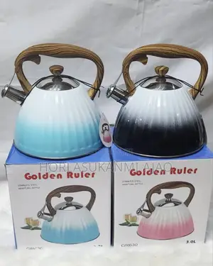 Quality and Original 3l Quality Whistling Kettle 