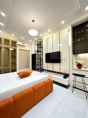 Luxury and Beautifully Furnished Studio Apartment