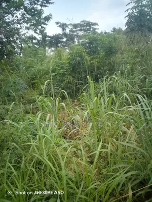 Photo - Acres of Lands at Emerald Oaks Estate