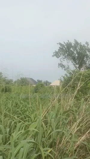 One Plot of Land for Sale at Kobape