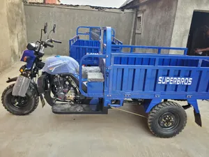 Cargo Tricycle Bike