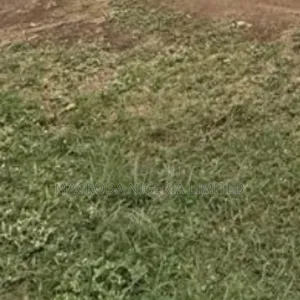 210sqm Of Land Available For Sale