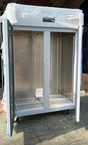 Industrial Freezer 2 Door