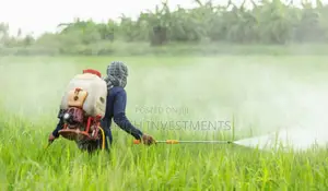 Gasoline Knapsack Power Sprayer 20l High-Performance Farming