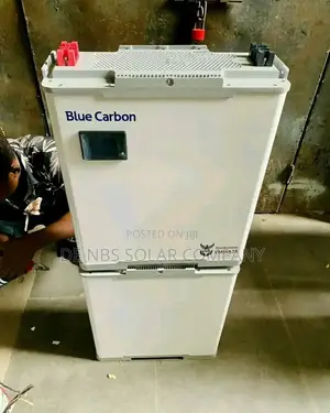 Blue Carbon 15kwh Lifep04 Lithium Ion Phosphate Battery