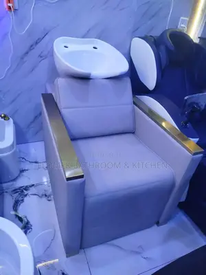 Hair Wash Basin