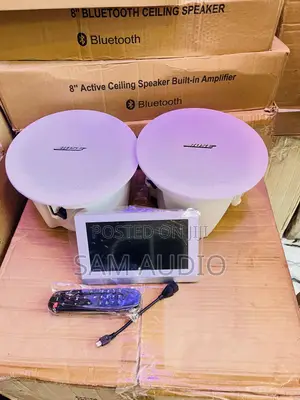 Photo - Bose Ceiling Speaker(2) And One 7” Inch Inwall Amplifier