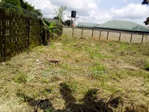 Real Estate Buy Invest Or Build
