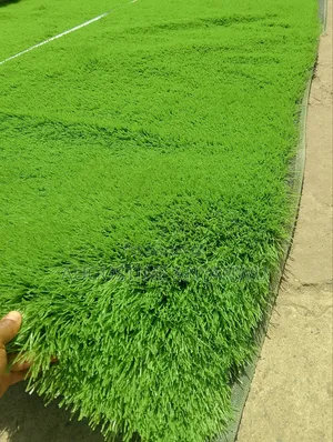 High Quality Artificial Grass Rug, Football Standard 50mm