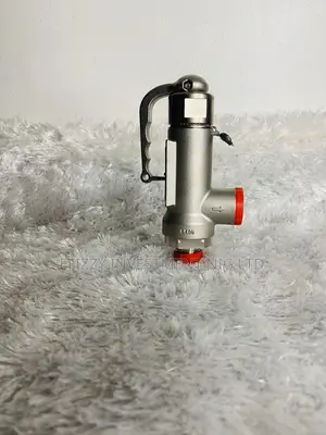 Spirax Sarco Sv406 Safety Valve 1/2"Bsp (Sku: Efy021)
