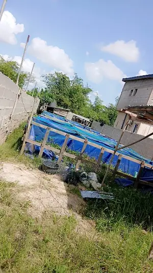 Half Plot of Land at Isheri Olofin