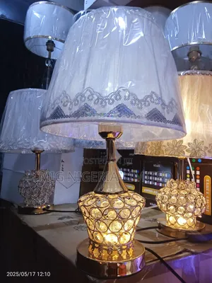 Gold Aclyric Bedroom Lamp Bedside Lamp With Light Up and Dow