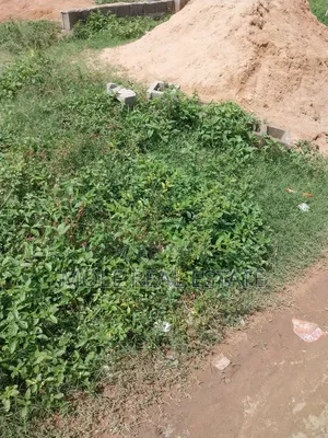 300 Acres Joint Investment (Jv) Eleko Coastal Rd
