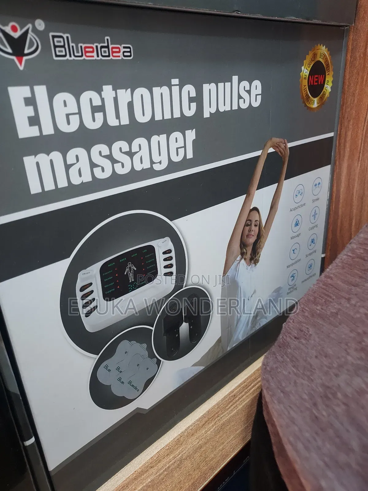 Electronic Pulse Massager