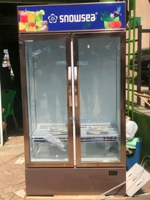 Double Doors Chillers