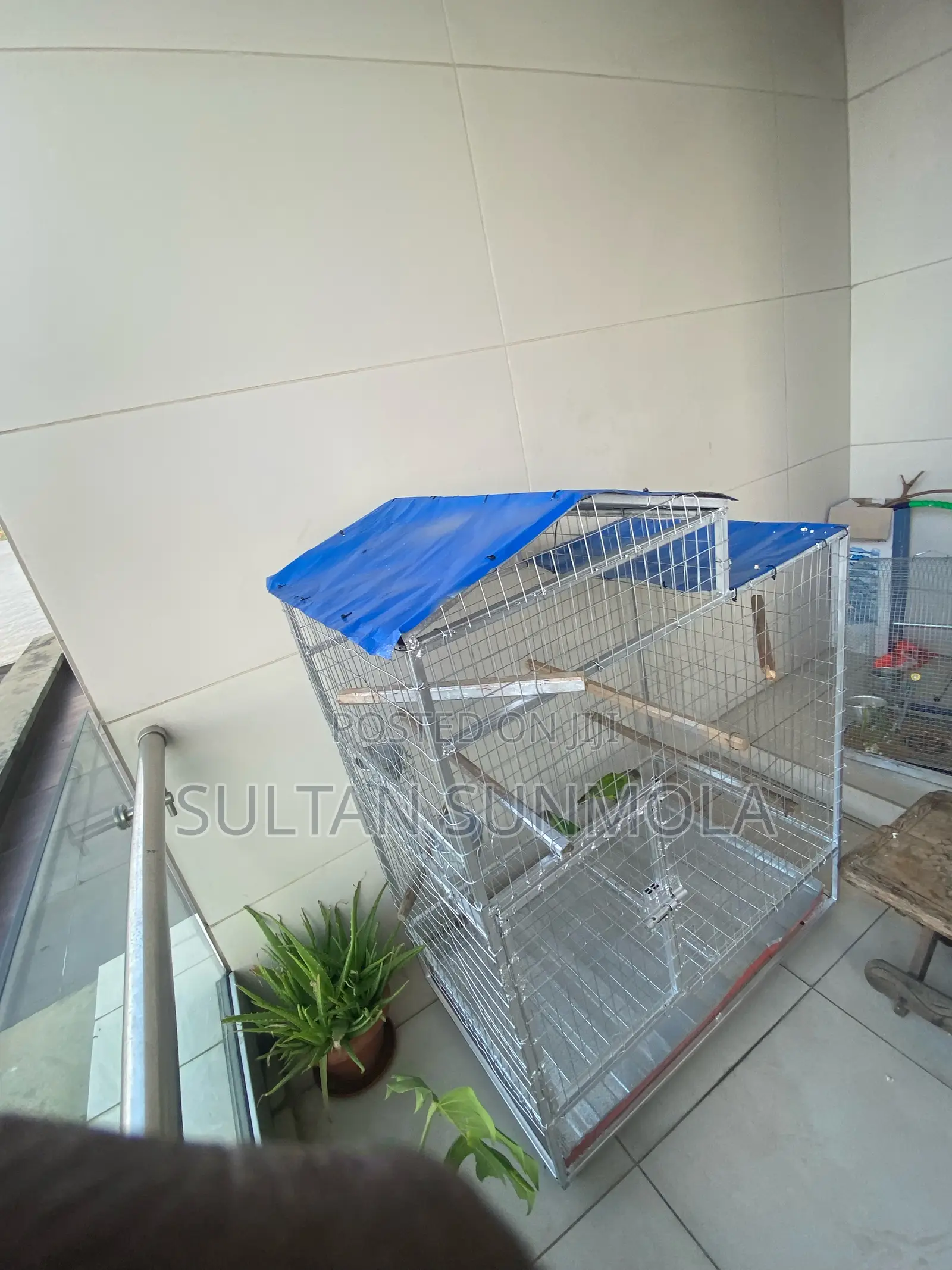 Parrot Cage for Sale