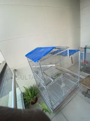 Parrot Cage for Sale