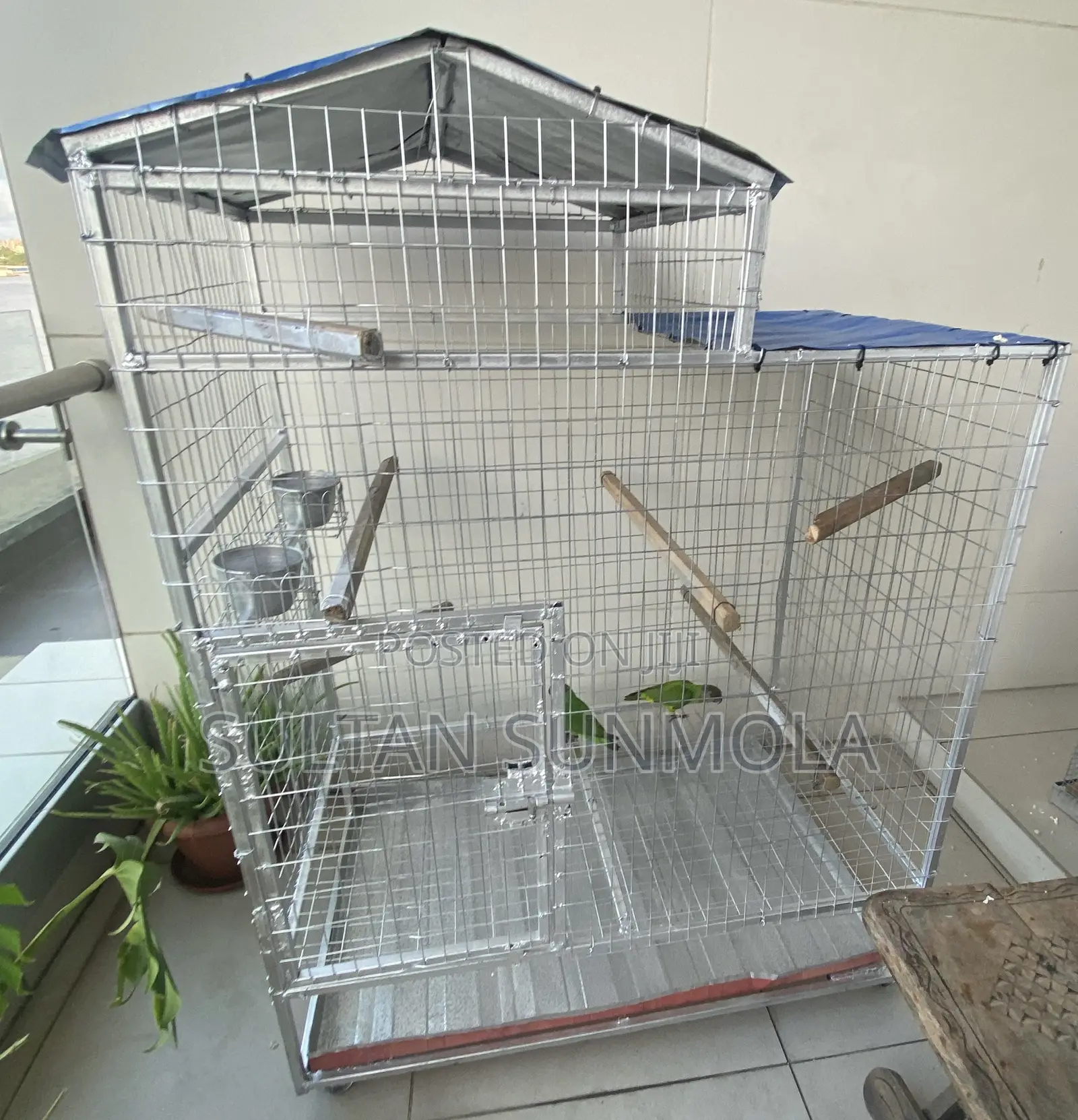 Parrot Cage for Sale
