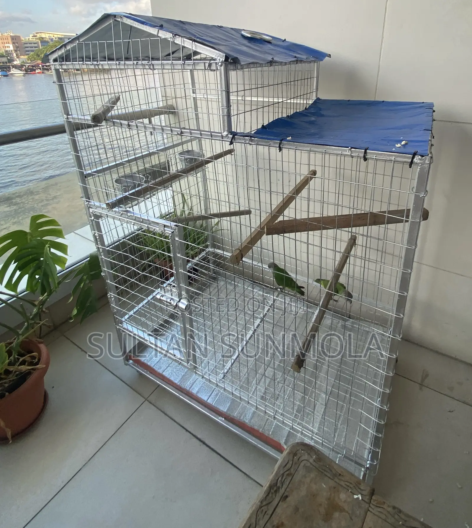 Parrot Cage for Sale