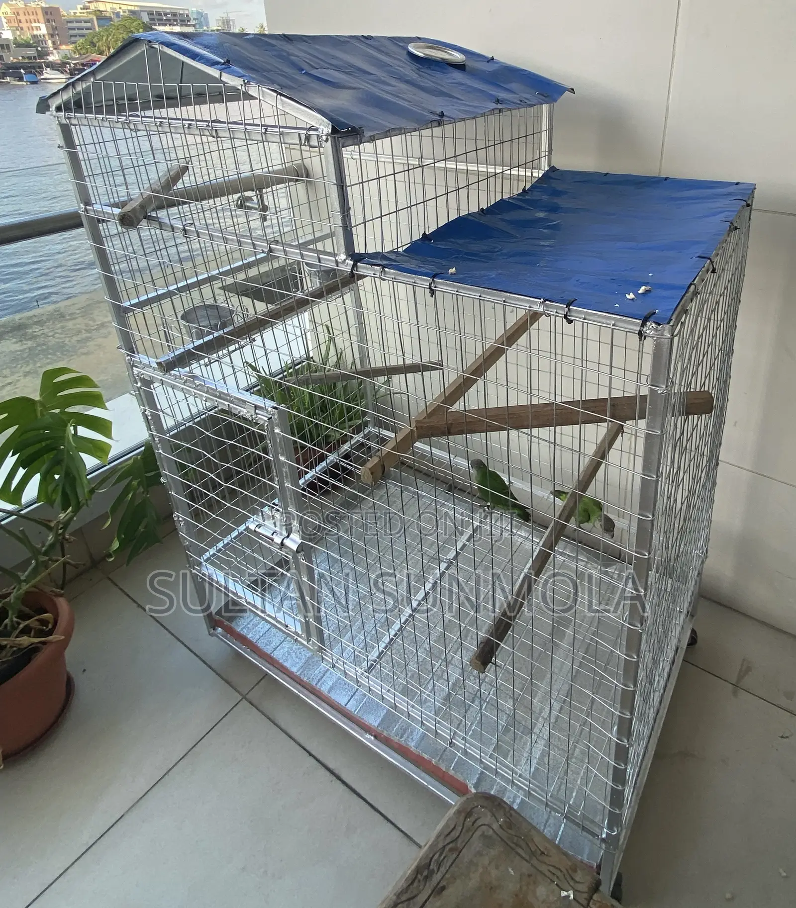 Parrot Cage for Sale