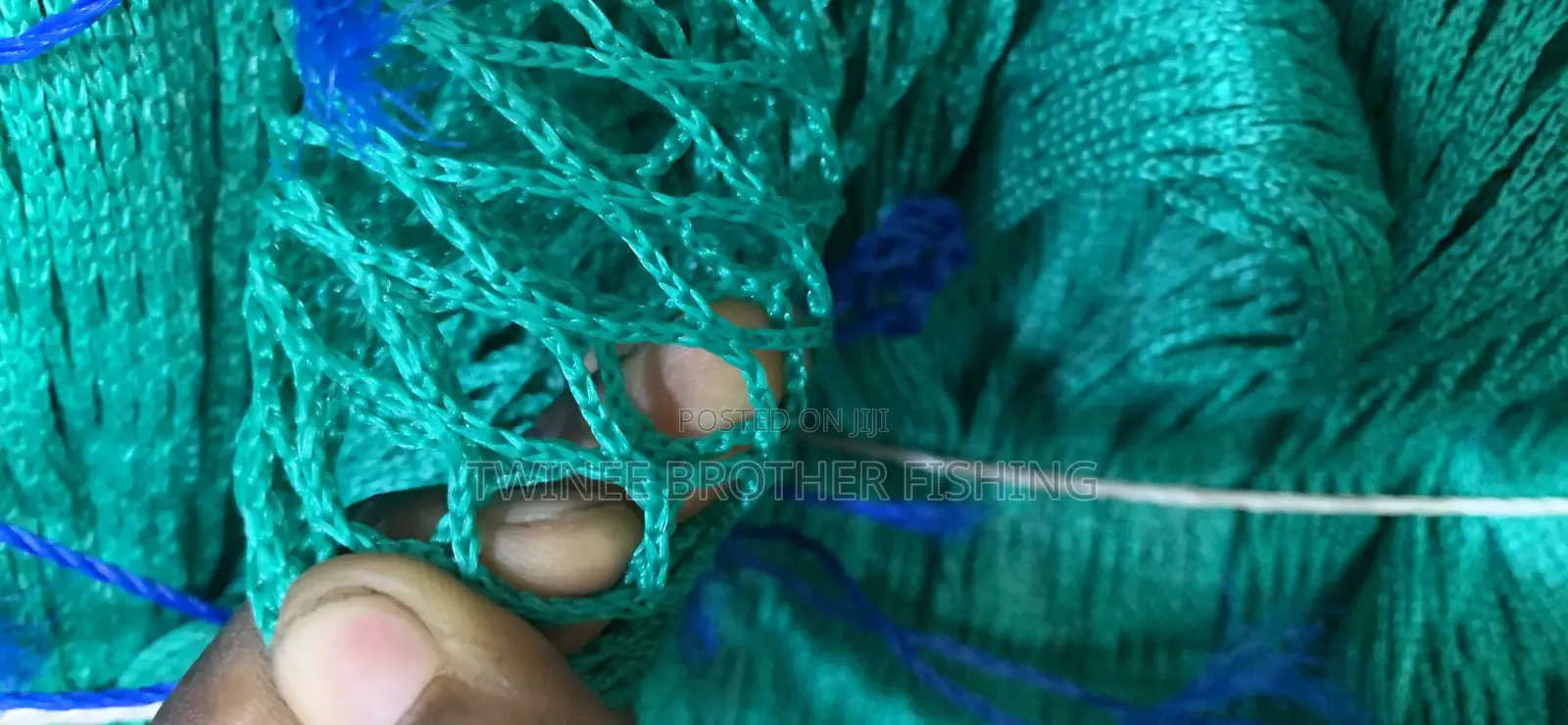 Safety Net &Poind