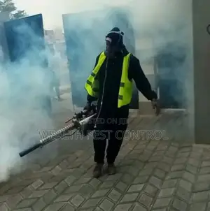 Fumigation of Bedbugs and Other Insects at Bonanza