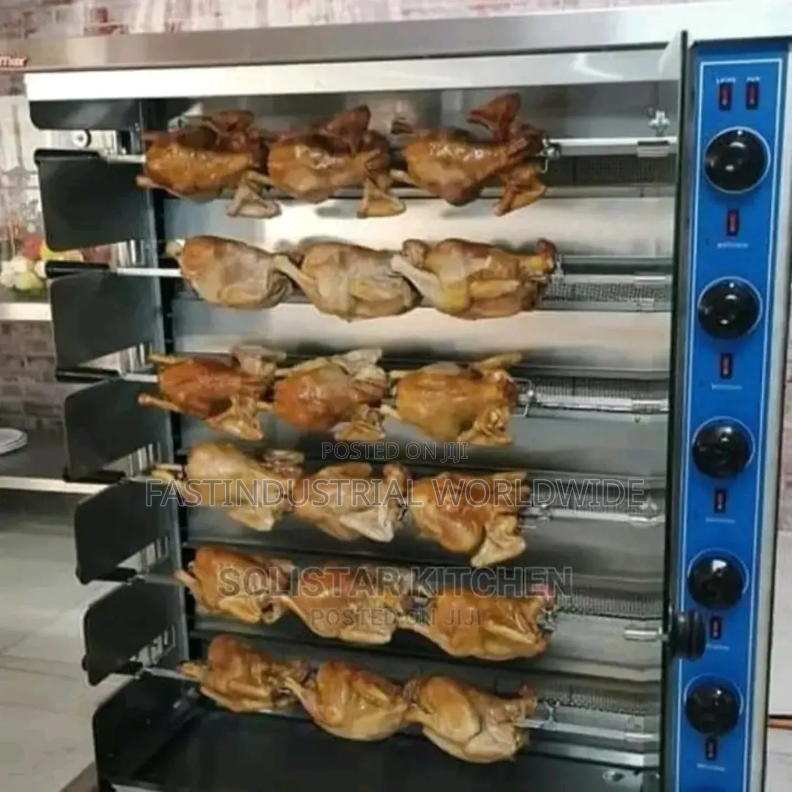 Standing Chicken Roaster