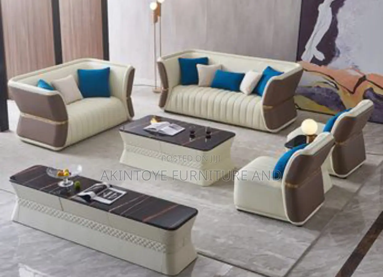 Full Set of Nice 2 Color Sofa