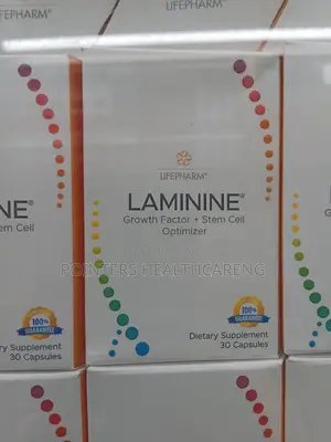 Laminine Sperm Cell