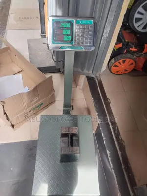 45x60 Platform Digital Scale 500kg Bruce