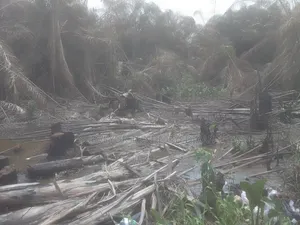 5plots of Swampy Land at Koya Estate Igbo-Olomu Off Ishawo